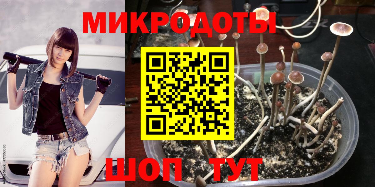Псилоцибиновые грибы Magic Shrooms Камышин