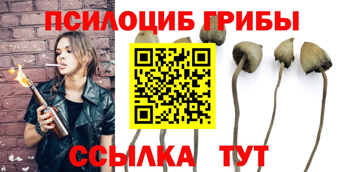 Камышин  Псилоцибиновые грибы Magic Shrooms  Вход с VPN 